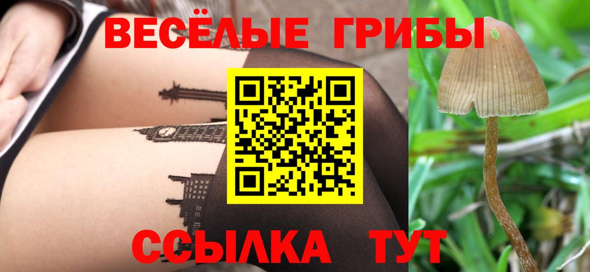 Корсаков  Галлюциногенные грибы GOLDEN TEACHER  купить наркоту  Вход с VPN 